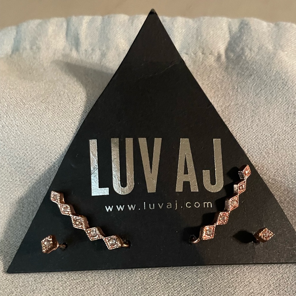 Rose Gold Earrings